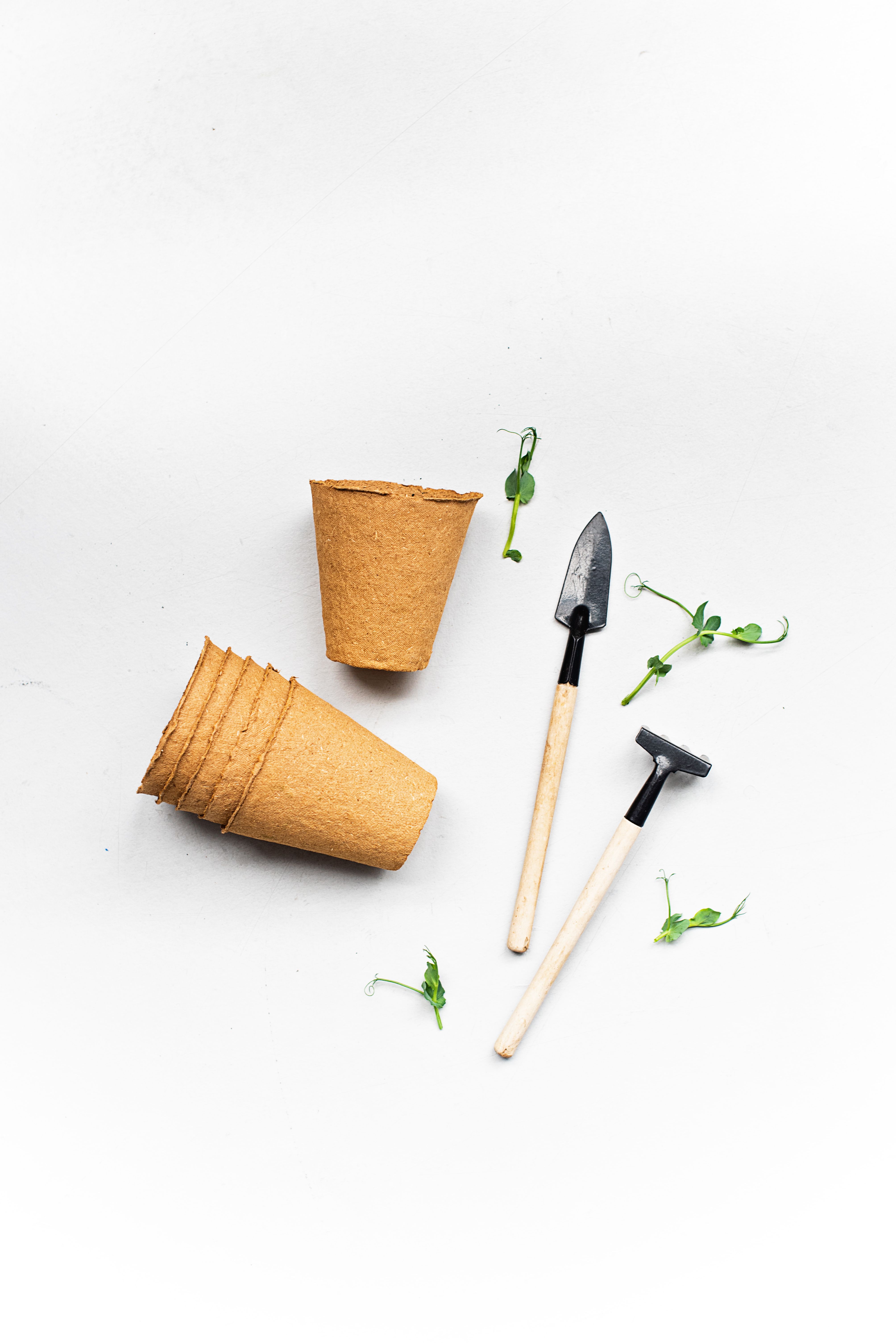 Biodegradable seed-starting pots and small gardening tools